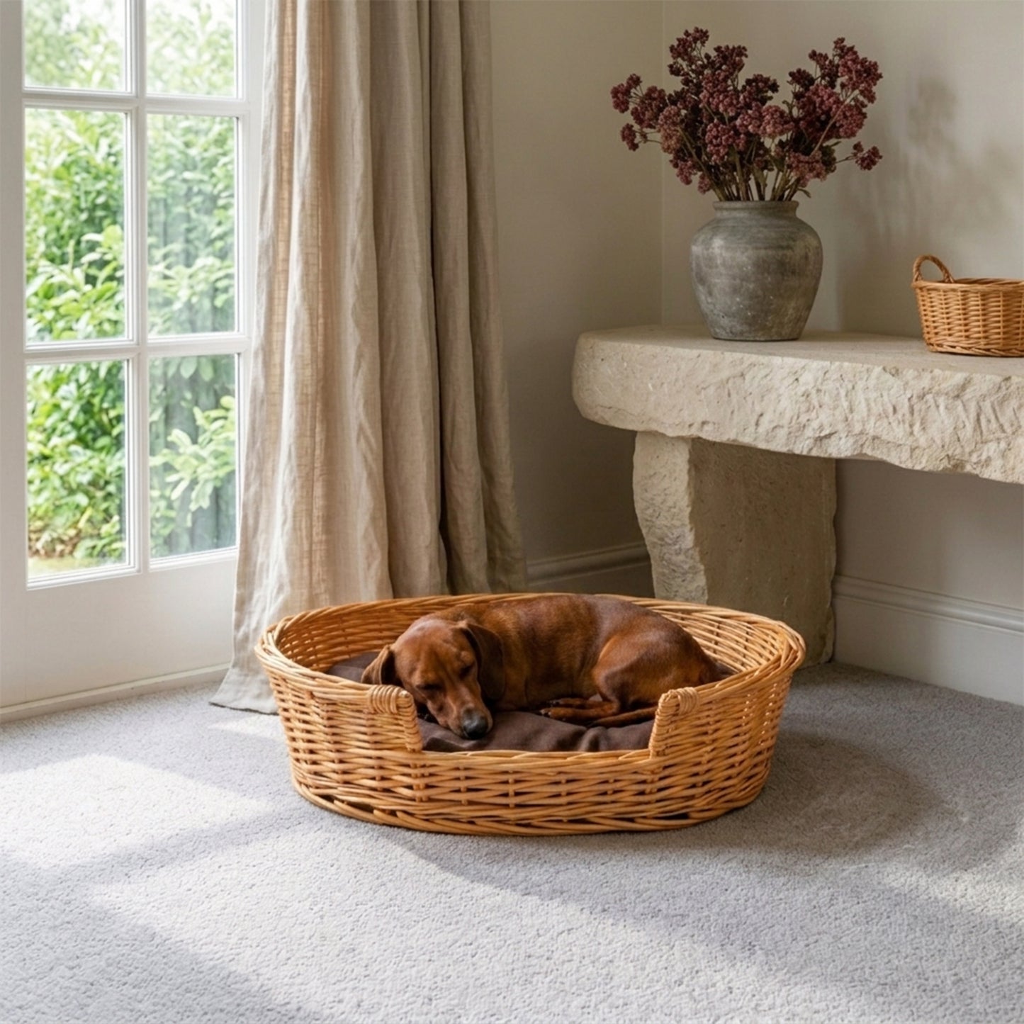 Light Steamed Oval Low Entry Wicker Dog Bed with Cushion - 3 Sizes