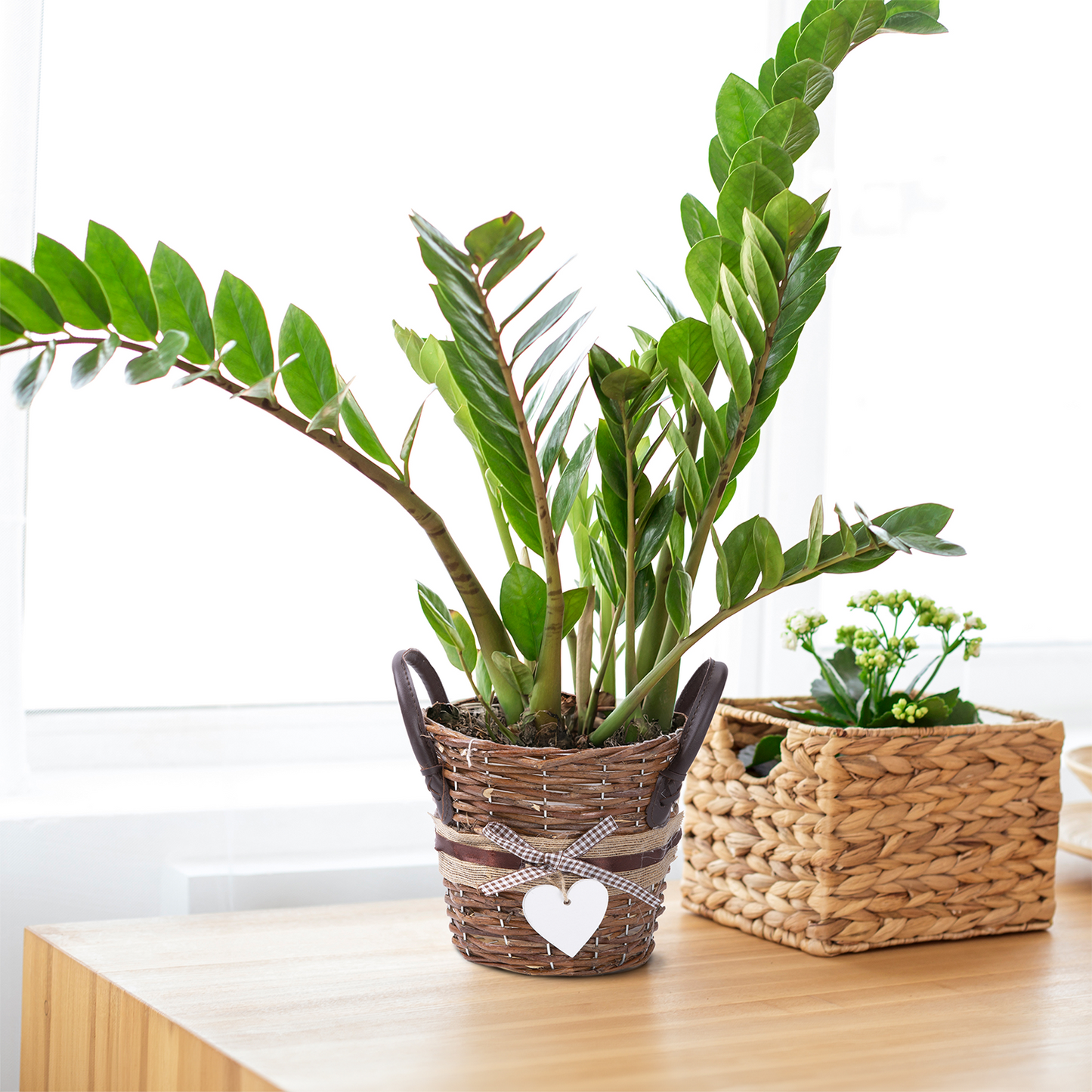 Unpeeled Willow Basket Planter with Plastic Lining - 3 Sizes