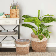 Greenleaves Natural Seagrass Indoor Planter Storage Basket Flower Pot with waterproof liner