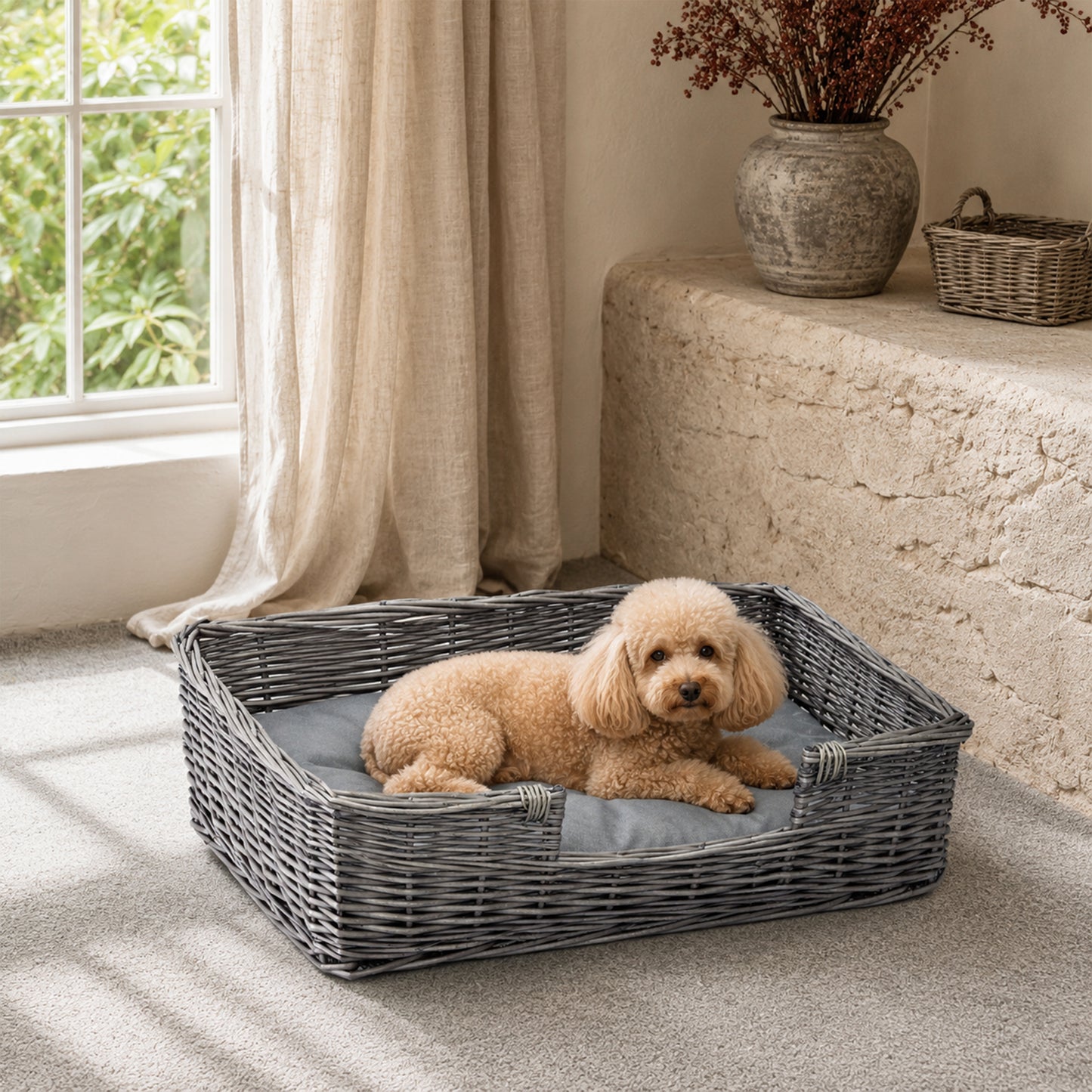 Antique Wash Rectangular Low Entry Wicker Dog Bed with Cushion - 2 Sizes