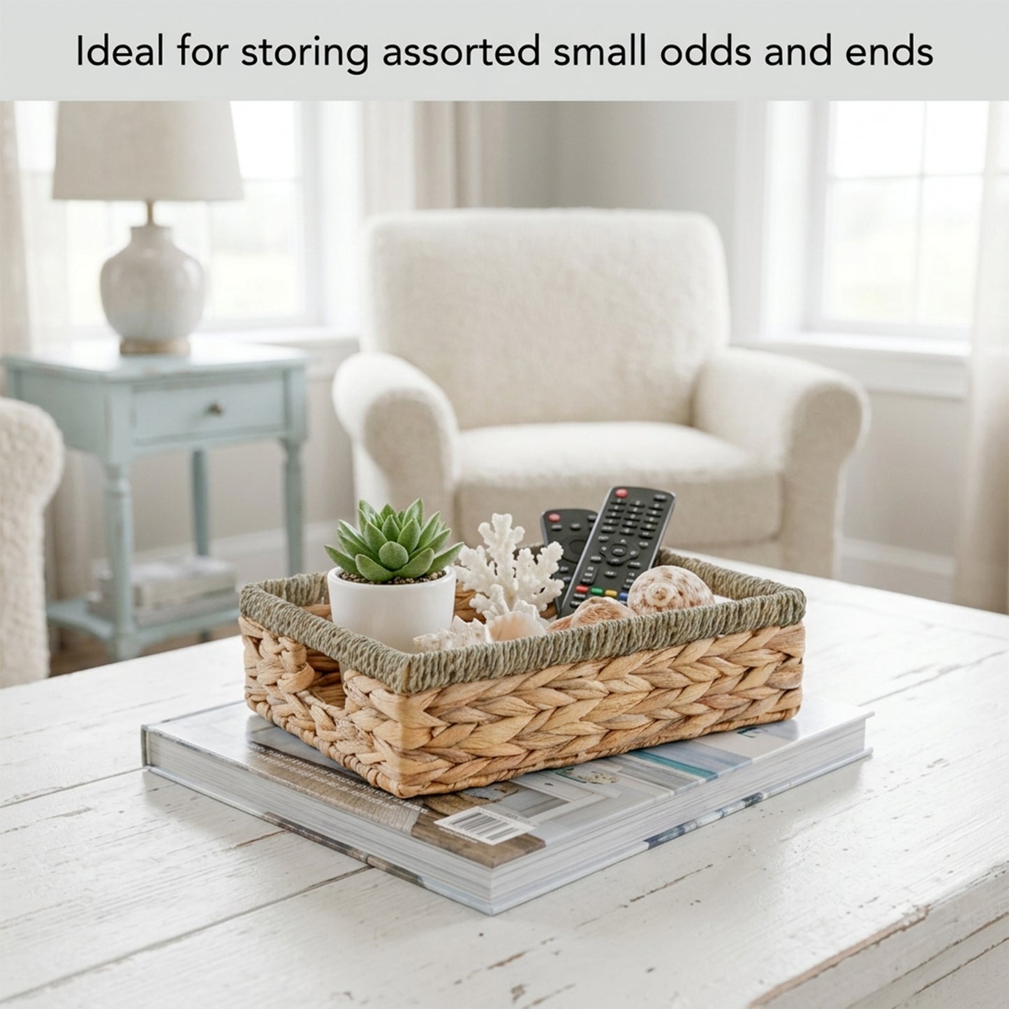 Shallow Water Hyacinth Storage Baskets with Seagrass Border - 3 Sizes