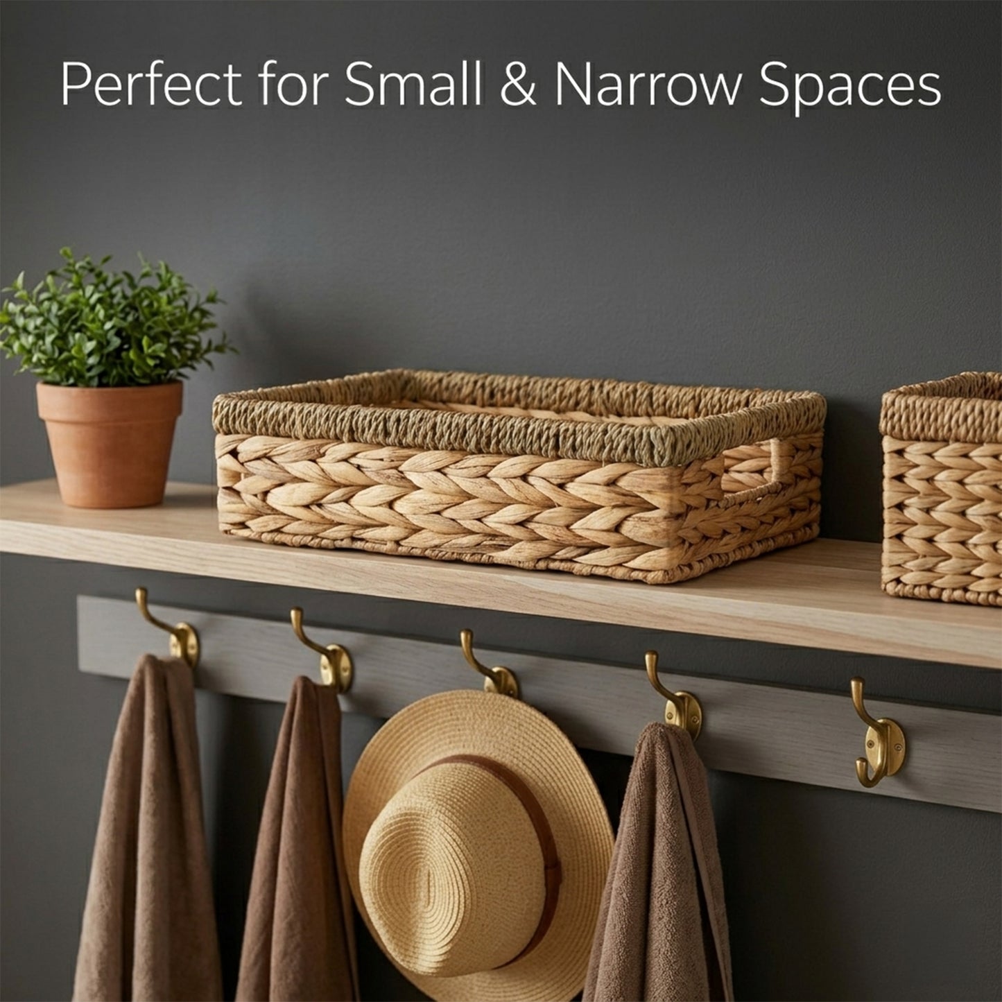 Shallow Water Hyacinth Storage Baskets with Seagrass Border - 3 Sizes