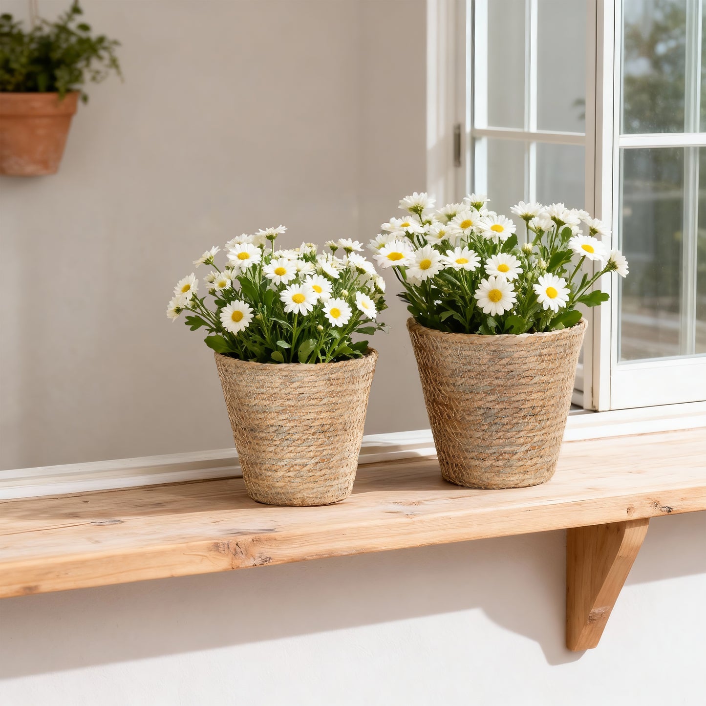 Seagrass Woven Basket Planter Set 2