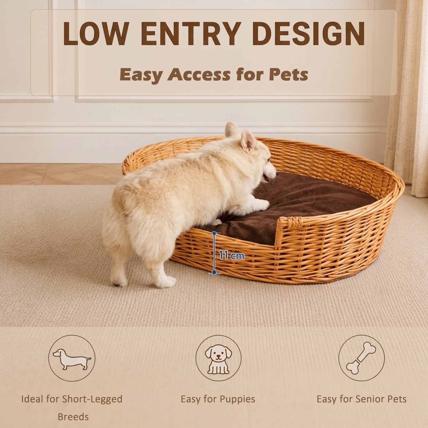 Light Steamed Oval Low Entry Wicker Dog Bed with Cushion - 3 Sizes