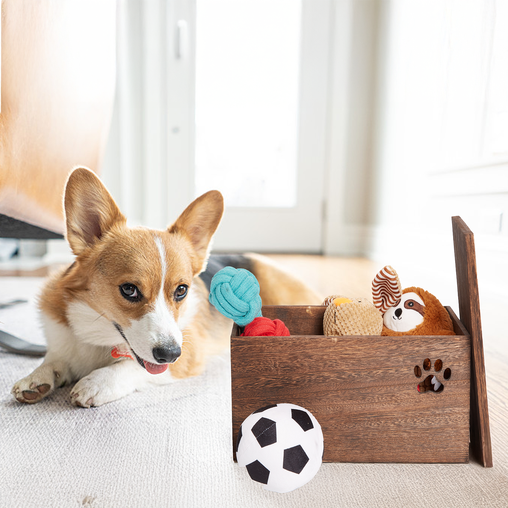 Brown Dog Toy Wooden Storage Box - 2 Sizes
