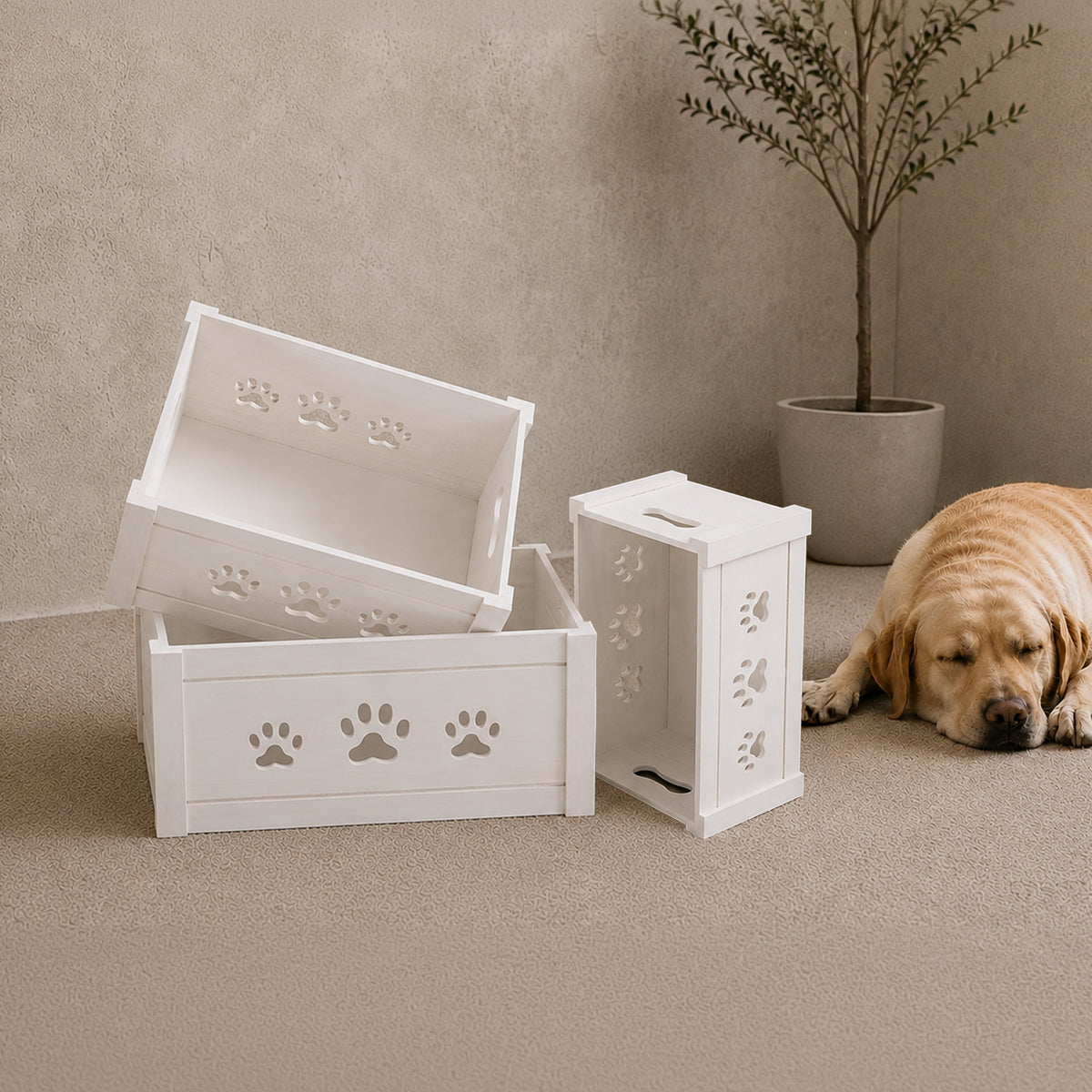 White Wooden Dog Toy Storage Box - 3 Sizes