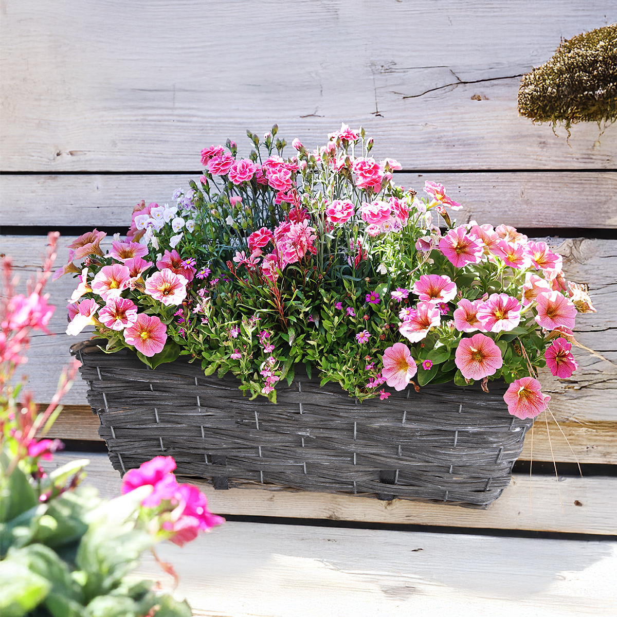 Grey Wash Hanging Planter with Plastic Lining