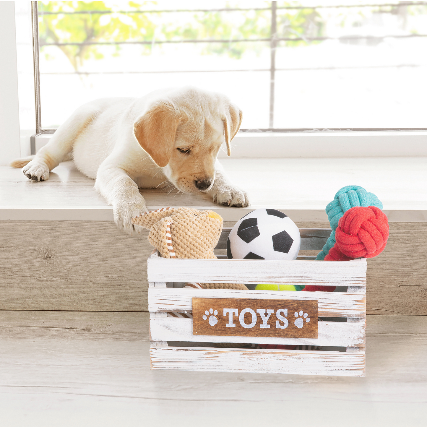 Vintage Dog Toy Storage Box Wooden Crate - 3 Sizes