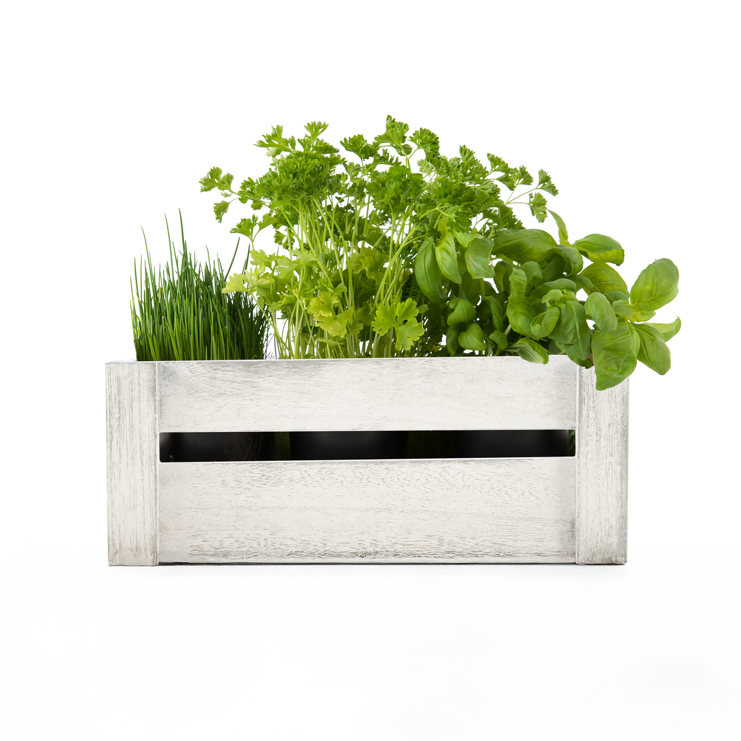 White Wash Wooden Crate with Handle - 3 Sizes