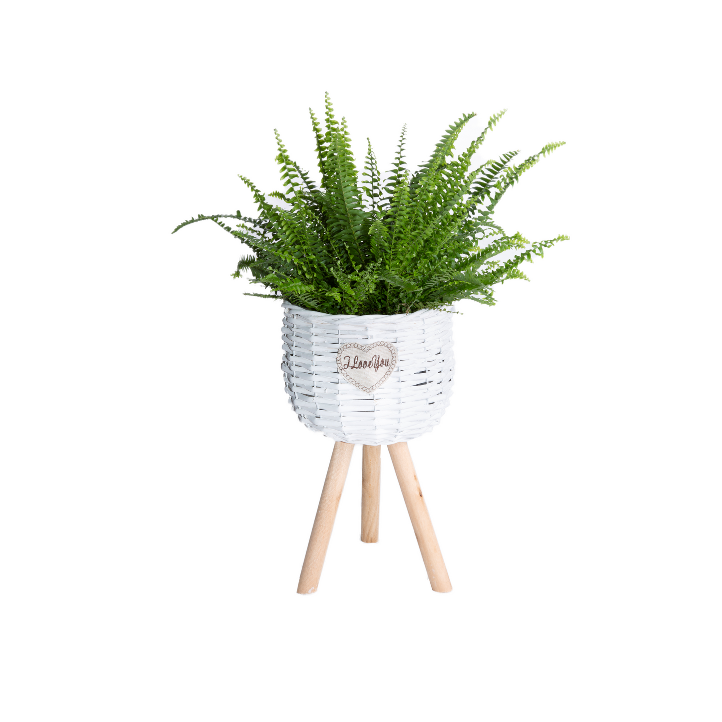White Wicker Basket Plant Stand with Plastic Lining