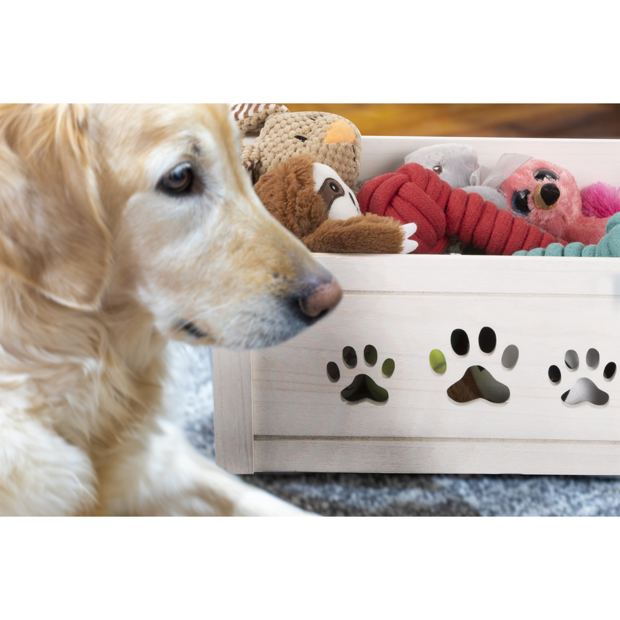 White Wooden Dog Toy Storage Box - 3 Sizes