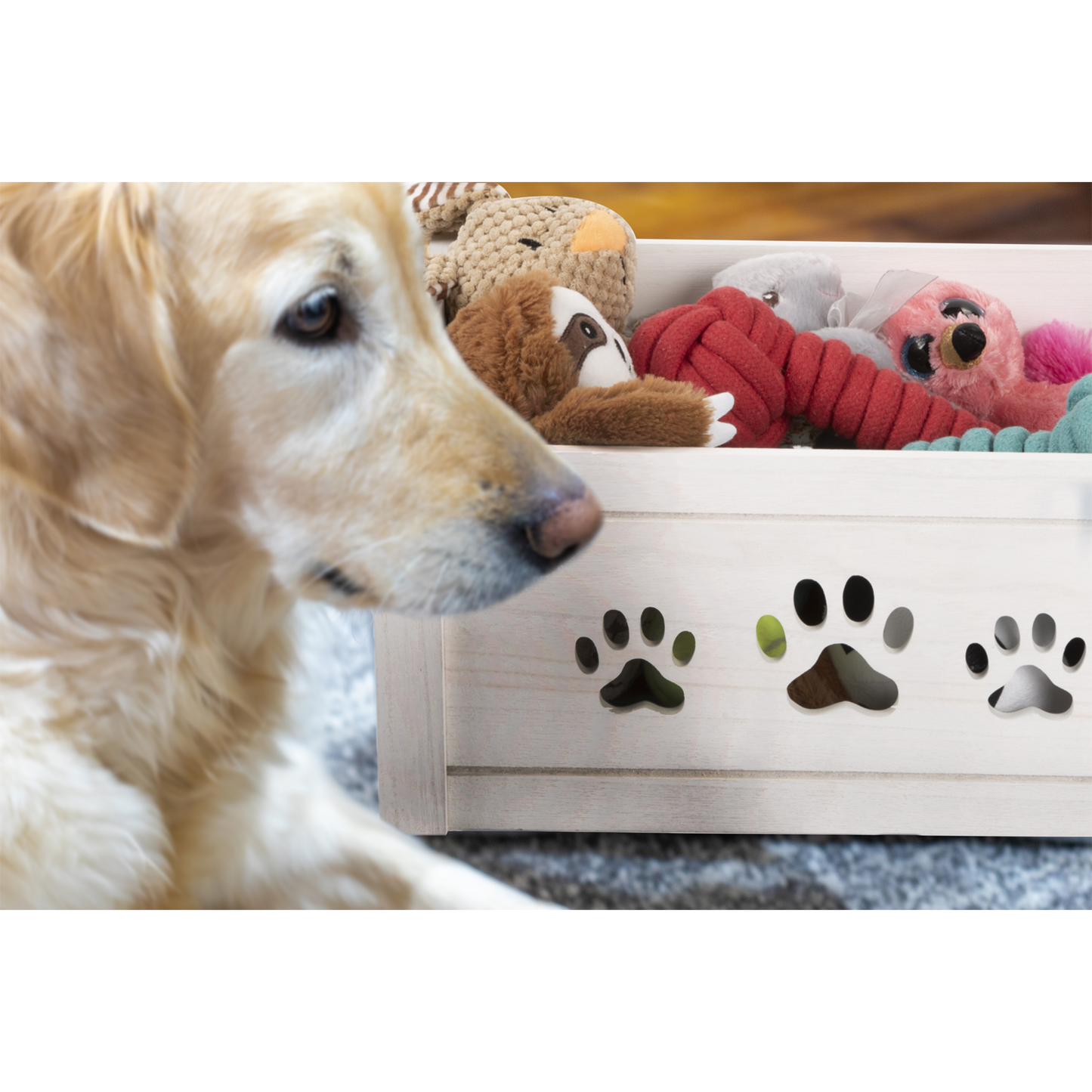 White Wooden Dog Toy Storage Box - 3 Sizes