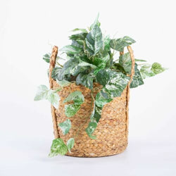 BH  Seagrass Planter Indoor Planter Basket Plant Container