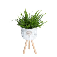 Wicker Flower Basket Plant Stand Waterproof Liner Patio Plant Display Holder